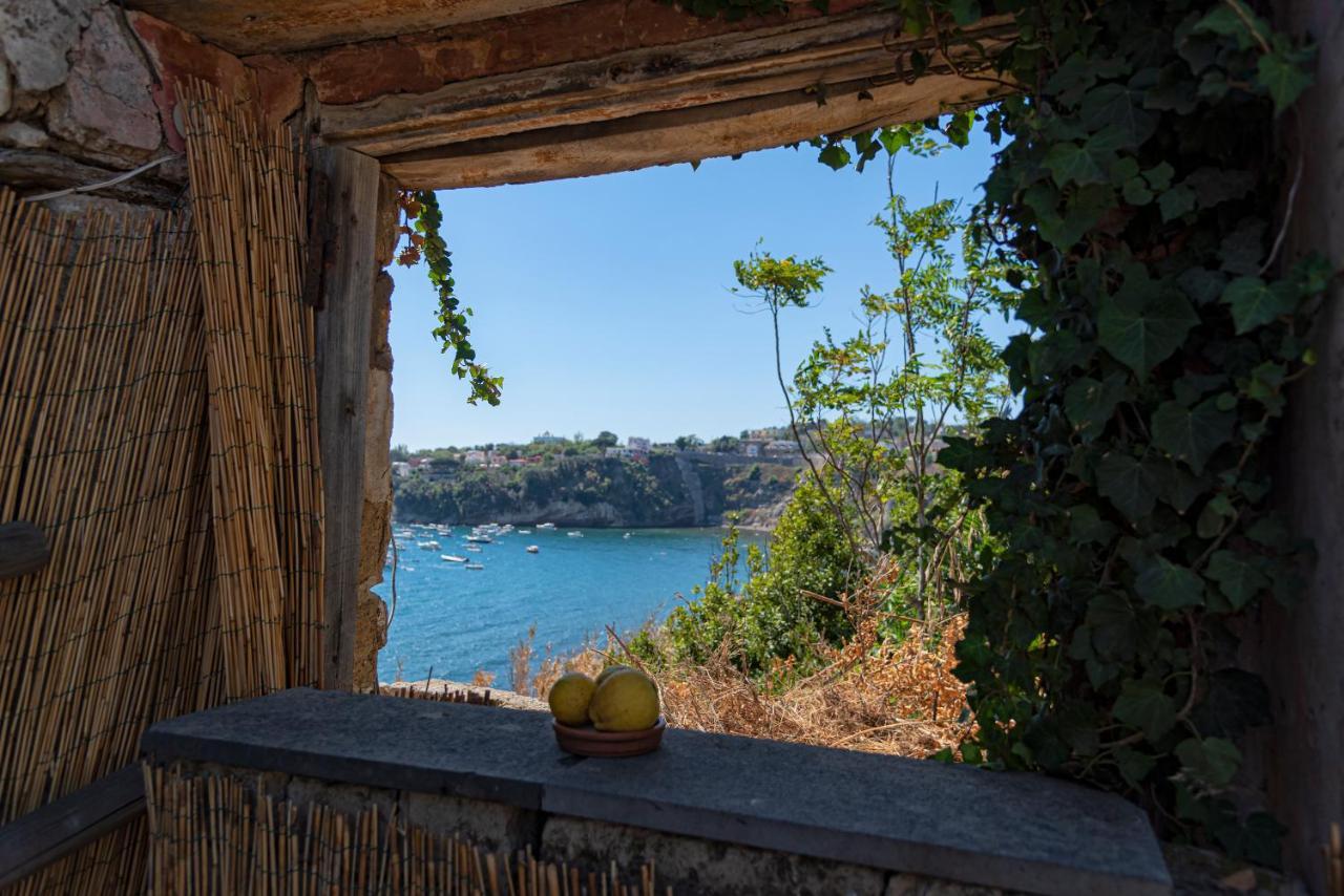 Controvento In Villa Eldorado Procida Exteriör bild